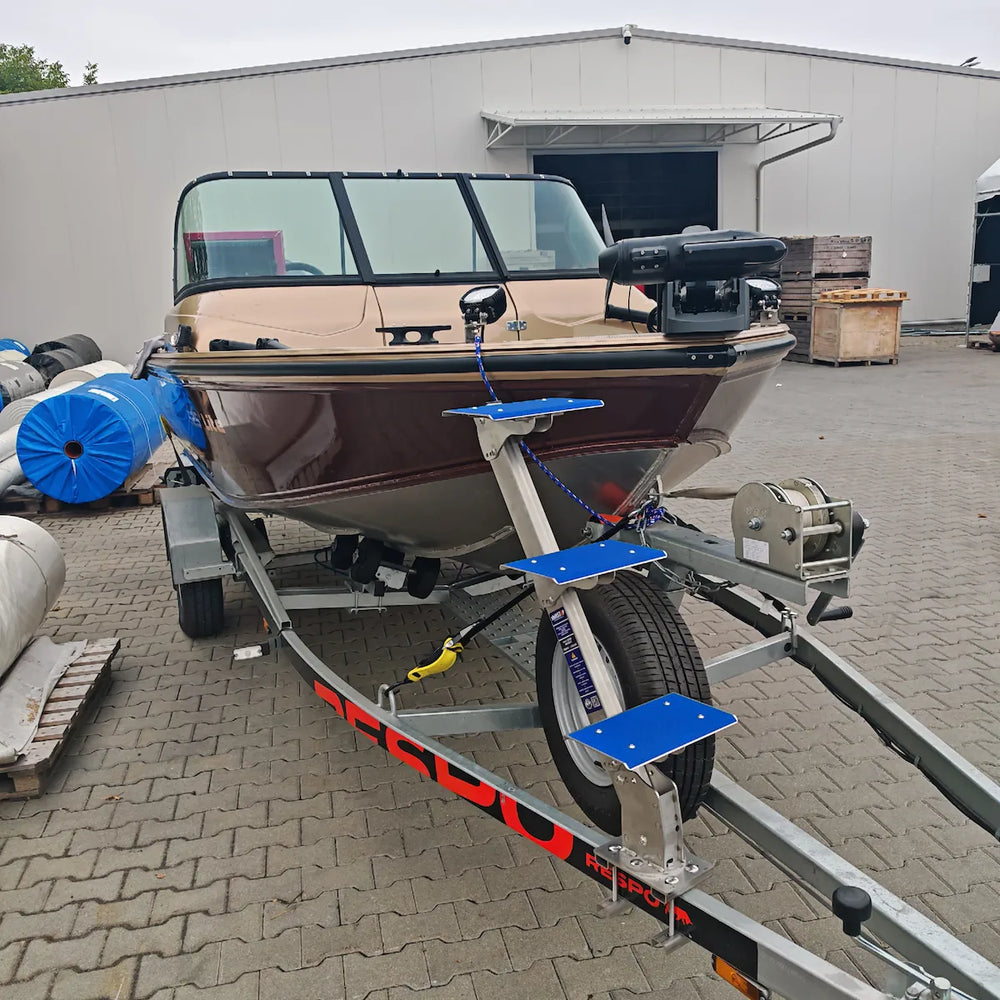 ShiftStep Stainless Steel Boat Trailer Ladder